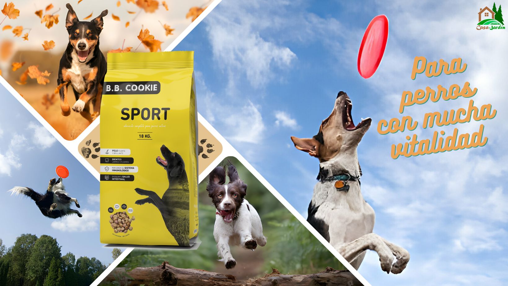 Cachorros comiendo Ibercan puppy